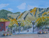 Aspen 1-172x136